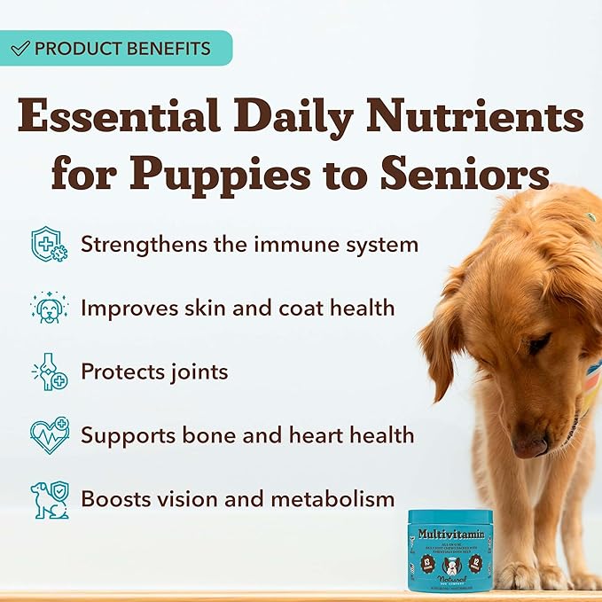 Natural Dog Company 25-in-1 Multivitamin for Dogs – Vet-Formulated Soft Chews for Puppies, Adults & Seniors, Supports Joints, Skin, Coat, Immune & Heart Health, NASC Certified, 90 Count