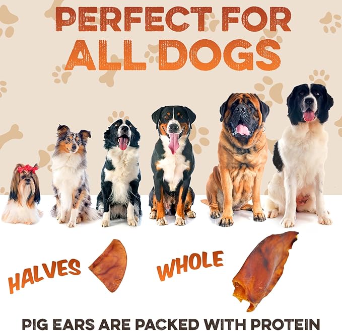 BRUTUS & BARNABY Whole Pig Ears for Dogs, 12 Ct. – All-Natural Single Ingredient Dog Chews, Slow Cooked & Fully Digestible Rawhide Alternative