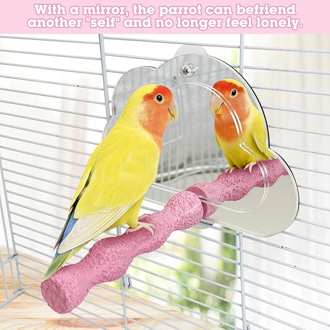 PINVNBY 2 PCS Bird Perch with Mirror Resin Parakeet Perches Hanging Parrot Toys Interactive Bird Cage Accessories for Cockatiel Conure Lovebird Finch (Pink)