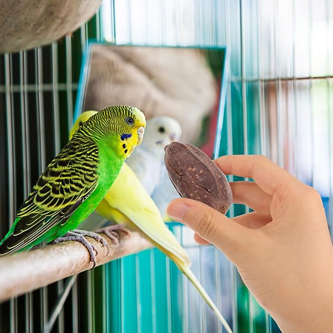 8pcs Natural Bird Chewing for Parrots Budgies Macaws Dried Fruit Chew Accessories Fun Foraging Shredding Treats to Reduce Loneliness and Promote Healthy Beak Maintenance