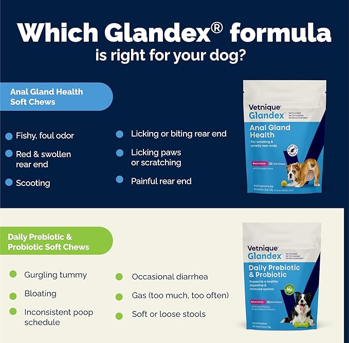 Vetnique Glandex Daily Probiotics for Dogs with Prebiotics to Support Gut Health with Fiber and Digestive Enzymes, Dog Probiotic Powder (4.25oz Powder, Pork Powder)
