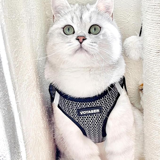 Best Pet Supplies Voyager Step-in Air Harness - All Weather Mesh, Reflective, No Pull Harness for Dogs, Cats - Secure with Hook & Loop Fastener, Buckle, Double D-Rings - Gray 2-Tone, M