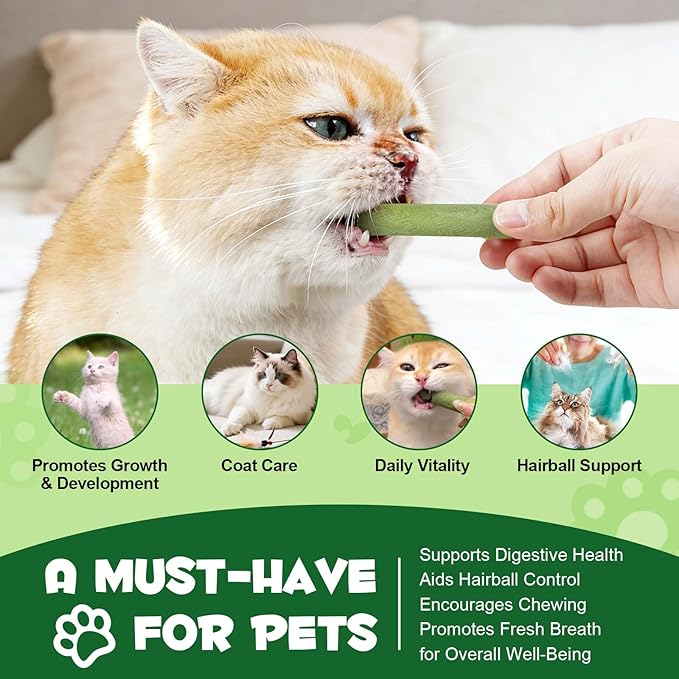 ALIVO Cat Grass Sticks, Cat Grass Treats Support Teeth Cleaning & Hairball Care, Natural Dental Treats for Indoor Cats, Health Supplies Dental Care - Indoor Cats Snack, 60g