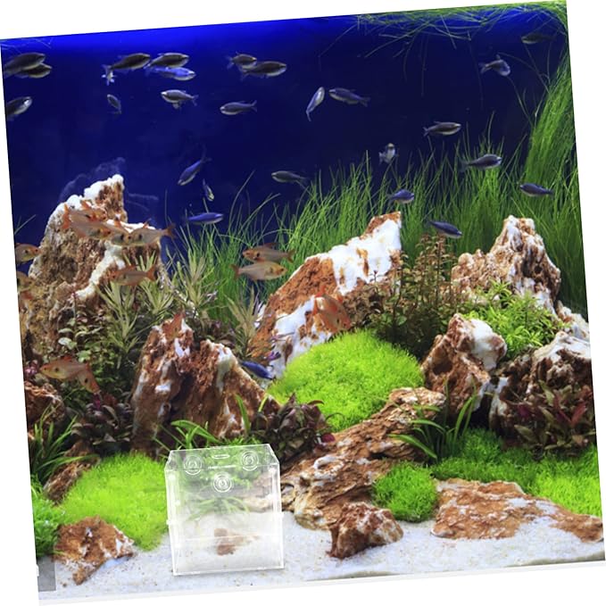 Happyyami Fish Isolation Box Design Incubator for Guppy Breeding Aquarium Tank Separator Cups for Easy Installation and Observation of Fish Fry Hatching