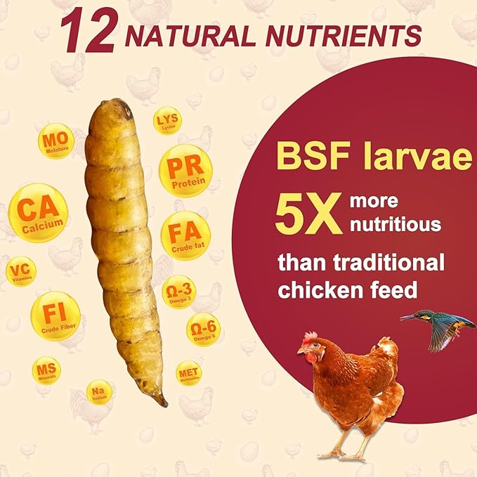 20LB Dried Black Soldier Fly Larvae for Chickens,Non GMO 86X More Calcium BSF Larvae Than Dried Meal Worms for Chicken, Turkey, Natural Black Fly Larvae for Chickens Bulk,Protein Chicken Grubs Treats