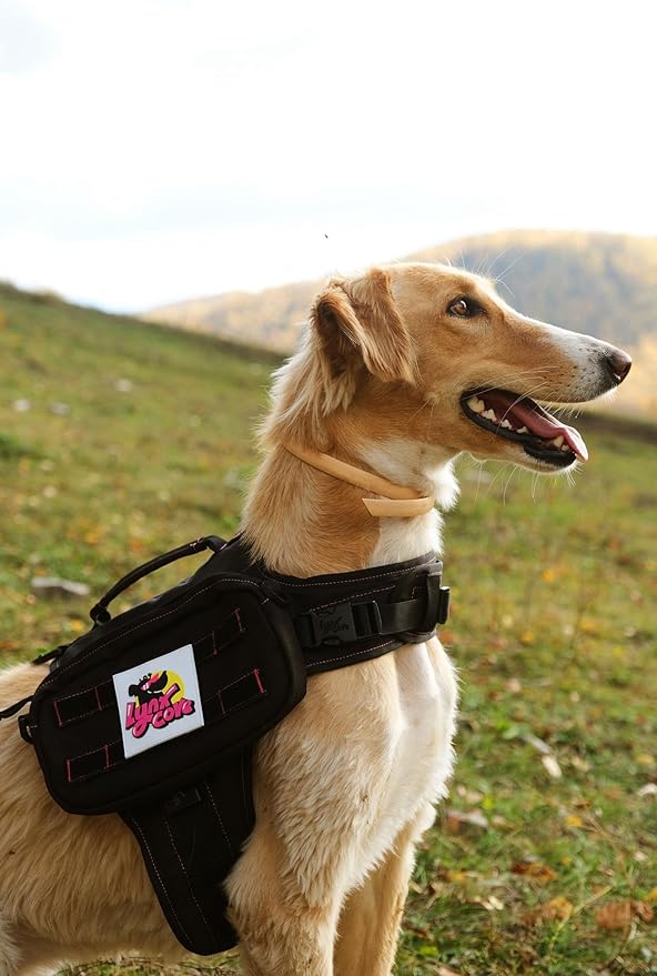 Dog Backpack for Small Medium Large Dogs,Adjustable Dog Backpack Harness with 2 Side Pockets,Vest Dog Pack for Travel,Hiking, Camping