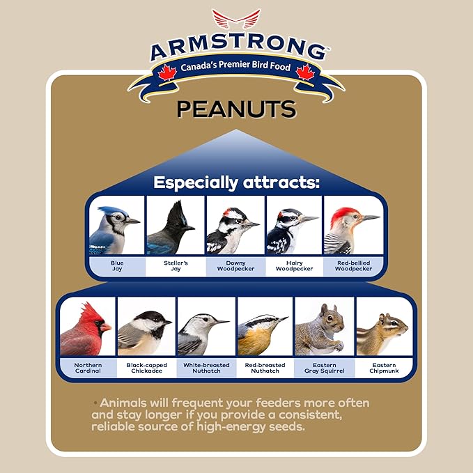 Armstrong Wild Bird Food Shelled Peanut Halves Bird Seed, 8 Pounds - for Downy Woodpeckers, Red-Breasted Nuthatches and Black-Capped Chickadees for Outside Feeders