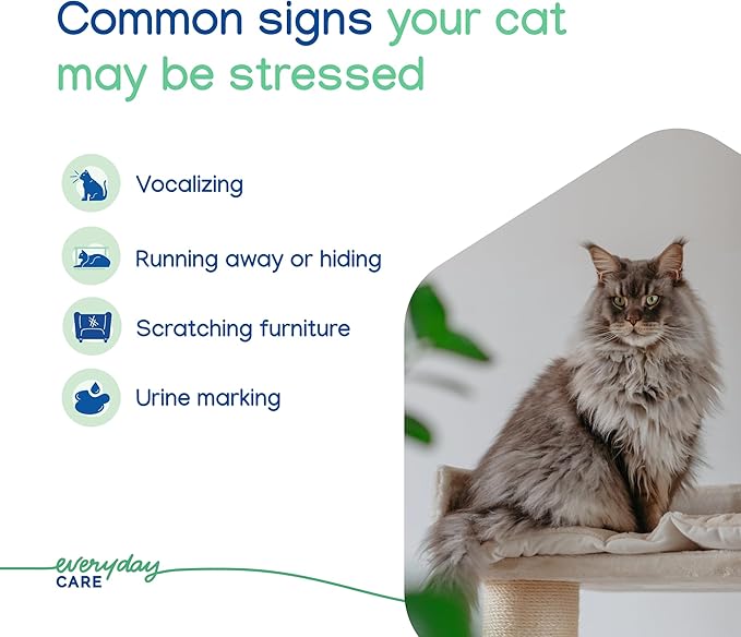 Virbac ZENIFEL™ Spray | Managing Stress-Related Behaviors in Kittens & Cats | Quick-Acting - Ideal for Unexpected Stressful Situations