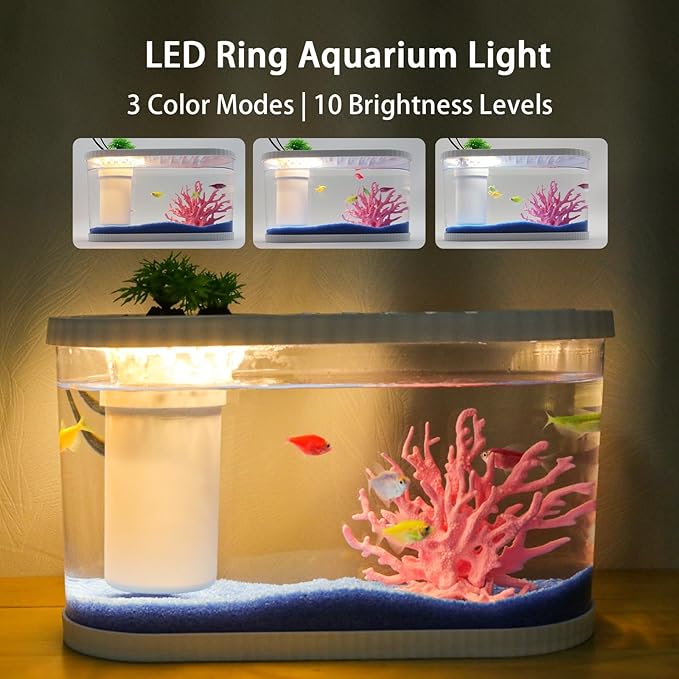 2.2 Gallon Fish Tank Kits,Small Aquarium Starter Kit,Nano Desktop Tank with Quiet Filter, Lid,Color-Changing Light&Decor for Betta Shrimp Guppy Jellyfish Goldfish Beta(12.6 * 7 * 5.6 Inch)