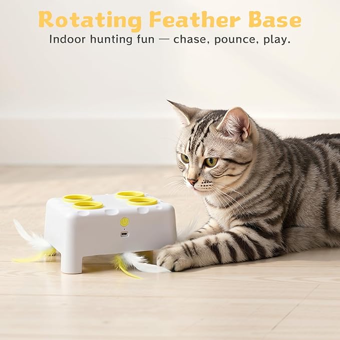 Interactive Cat Toy for Indoor Cats, 3 Modes Feathers Toy, Rechargeable 4 Holes Mole Cat Toys, Cheese Box for Kitten, 4 Accessories (White)