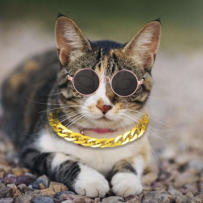 Cat Costume Sunglasses with Collar Chain, Retro Pet Eyeglasses Funny Kittens Costume Docorations Cosplay Dog Puppies Photo Props for Birthday (Gold)