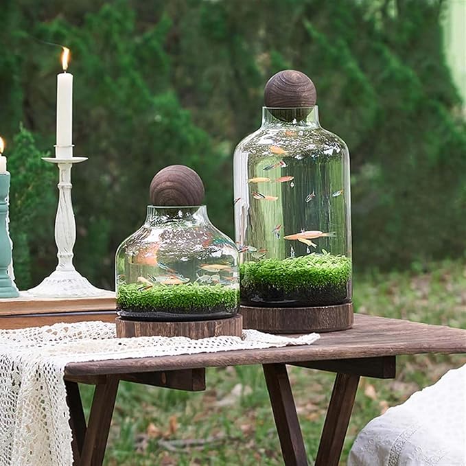 Glass Aquarium Fish Tank Plant Terrarium Bowl Micro Ecological Landscape Self-circulating Plant Vase Desktop Planter Jars Breeder Box, B