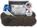 | Four Seasons | Nyjer Seed | Wild Bird Food | Backyard Songbird | 2 Pounds