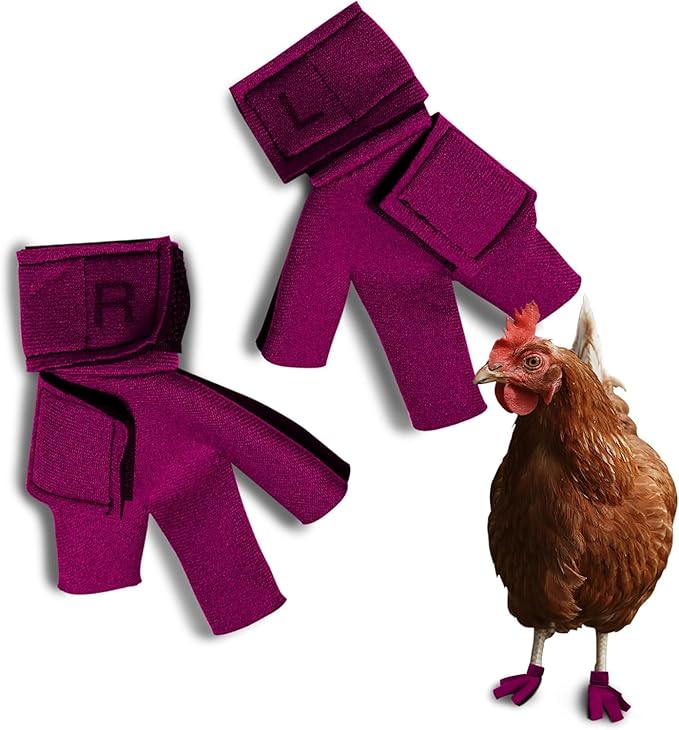 Chicken Shoes for Injured Feet – Protective Neoprene Footwear for Chicken, Open-Toe Design for Bumblefoot Relief, Made in USA (Chicken Shoes, Pink, Medium Chickens)