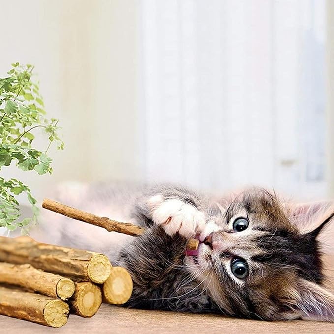 Silvervine Sticks for Cats, Natural Catnip Matatabi Chew Sticks Teeth Molar Chew Toys for Cat Kitten Kitty (25 PCS)