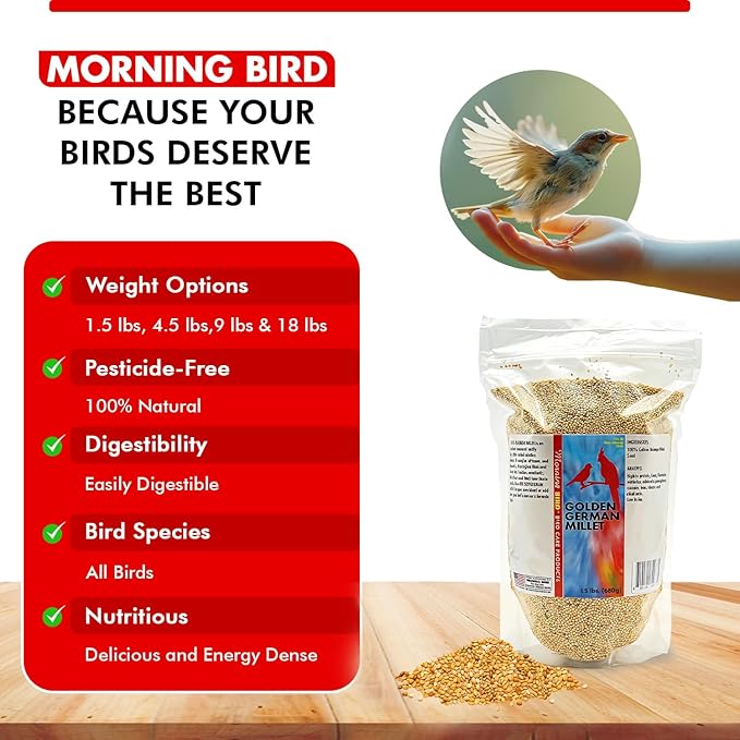 Morning Bird Golden German Millet 1.5 lbs – Natural Millet Seed for Birds – Natural Protein & Fiber Source – Easy-to-Digest Daily Nutrition for All Bird Types