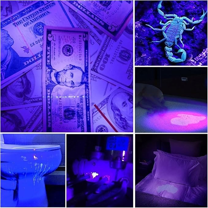 UV Flashlight, 365Nm Black Light, Portable Mini Flashlight for UV Resin Curing, Rock Detection, Pet Urine Detection, Paper Money Measurement