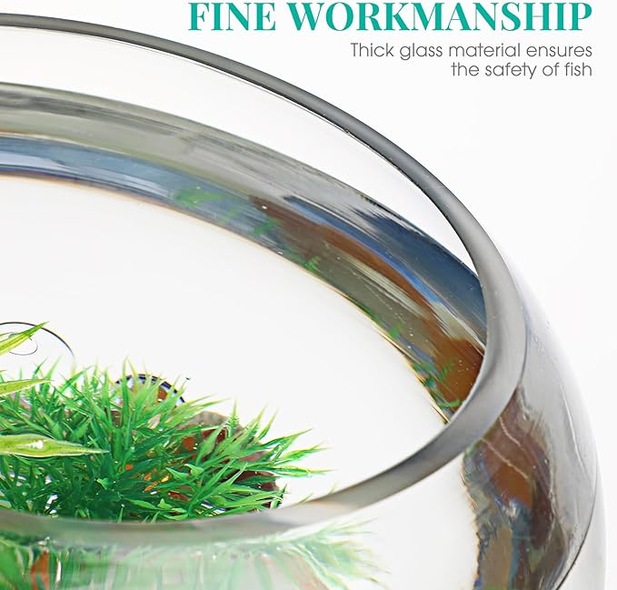 HOMSFOU Glass Fish Bowl Bubble Goldfish Bowl Round Glass Jar Terrarium Globe Flower Vase Hydroponic Planter Fish Tank Candy Jar Wishes Bottle for Micro Landscape 20cm