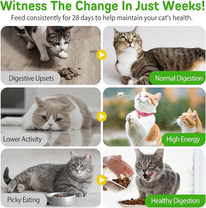 Hairball Control Cat Treats - Hairball Treatment for Cats,Cat Hairball Remedy & Relief for Cats-Cat Hairball Control with Psyllium Seed Husk and Vitamins,Promotes Skin & Coat,Digestive,Urinary Health