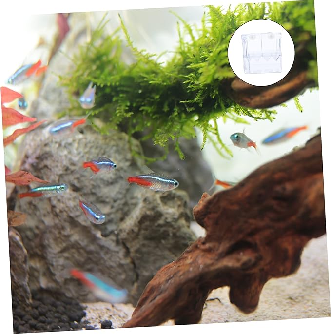 POPETPOP Breeding Tank Aquarium Isolation Box for Fish Cup Design for Betta and Guppy Hatchery Made from Material Easy to Install Observation of Fish Conditions