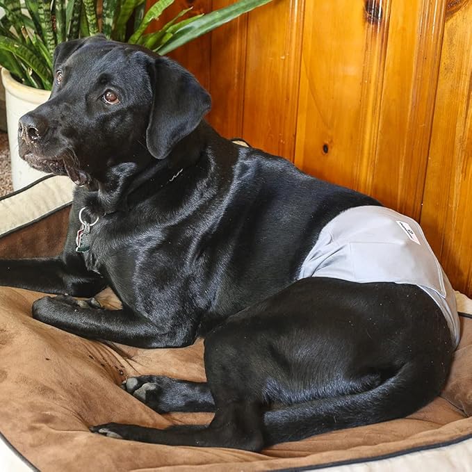 Pet Parents® Washable Belly Bands for Dogs (3pack) + Extendrs® Durable Dog Diapers - Premium Male Dog Diapers & Wraps (X-Small, Black)
