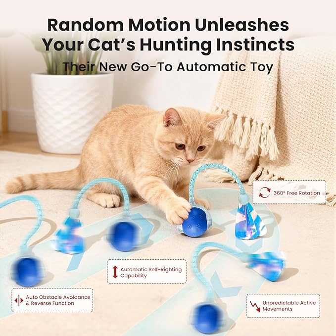 Rocfish Durable Interactive Cat Toys for Indoor Cats, Smart Automatic Cat Chase Ball Toy, Upgraded Speedy Tail Kitten Toy for Bored Indoor Adult Pets (NEW Blue)