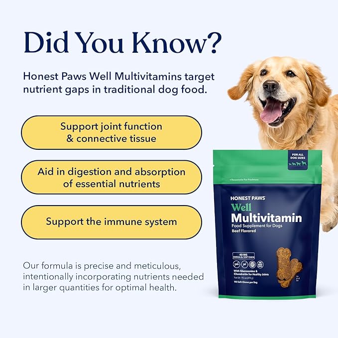 Honest Paws (90 Count) Dog Multivitamin Soft Chews with 10 Essential Vitamins - Joint, Coat, Immune, Eye & Heart Support - with Glucosamine, Chondroitin & Omega-3 - Beef Flavor (Pack of 2)
