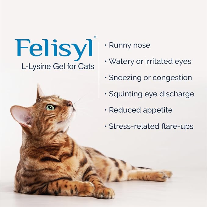L-Lysine Gel for Cats & Kittens (5oz) – Immune System, Respiratory & Eye Health Support. Reduces Sneezing, Runny Nose & Watery Eyes. Daily Salmon-Flavor Supplement – Made in USA (6 Pack)