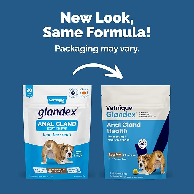 Vetnique Glandex Anal Gland Soft Chew Treats with Pumpkin for Dogs Digestive Enzymes, Probiotics Fiber Supplement for Dogs Boot The Scoot (30ct, Peanut Butter Chews) (Pack of 2)