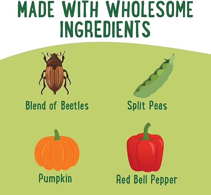 Farmhouse Favorites Insect & Harvest Blend with Beetles, 100% Natural High-Protein Dried Treat for Chickens, Pumpkin, Split Peas & Red Bell Pepper for Poultry, Hens, Ducks, Turkeys & Wild Birds, 2lbs