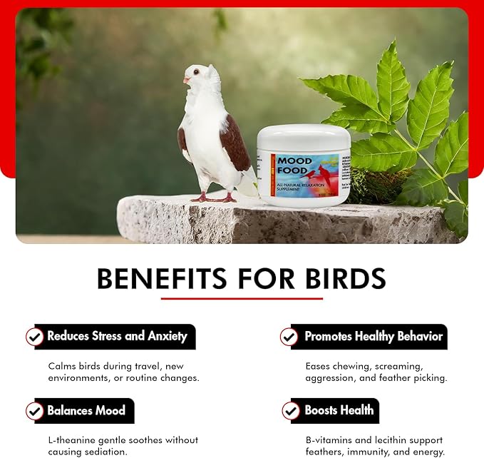 Morning Bird Mood Food 2 oz – Natural Calming Supplement for Birds – Non-Sedating Formula – Helps Reduce Stress, Aggression & Feather Plucking – Gentle Support with Amino Acids & B Vitamins