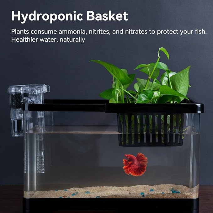 1.8 Gallon Beta Fish Tank Aquariums Kits - Clear Small Fish Bowl Starter Kit with LED Light, Water Filter Pump, Hydroponic Basket - Beginner's Gift for Guppy Shrimp Goldfish, Rectangular