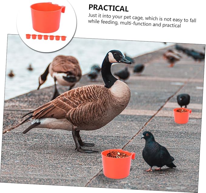 FRCOLOR 24Pcs Bird Bowls Cockatiel Parrot Feeder Container Plastic Feeding Bowl Dispenser Pet Bird Water Bowl for Cage Supplies