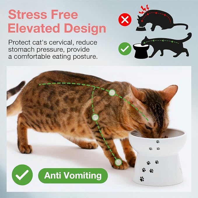 Necoichi Raised Cat Food Bowl – Ceramic Elevated Cat Bowl for Whisker & Neck Fatigue, Dishwasher Microwave Safe – Non-Slip & Anti Vomiting Ergonomic Design (Cats, Large, 2-Cup Capacity)