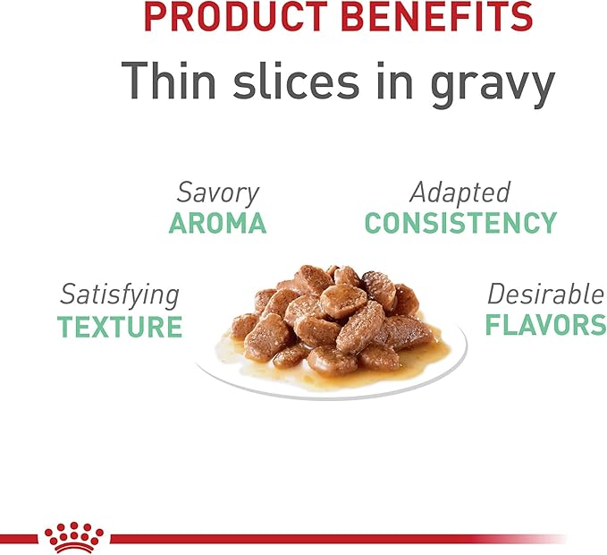 Royal Canin Feline Care Nutrition Digestive Care Adult Thin Slices in Gravy Cat Food, 3 oz (Pack of 6)