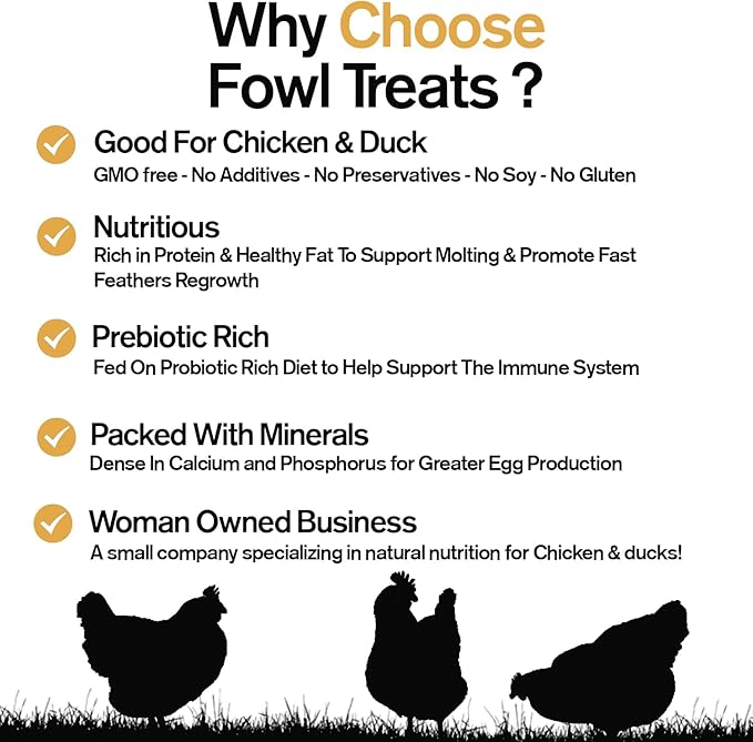 Naturally Fortified Treats – Protein Rich Supplement Suitable for Chickens, Hens and Ducks, Hand Mixed with USA Grown Ingredients – Solstice Blend – 32oz