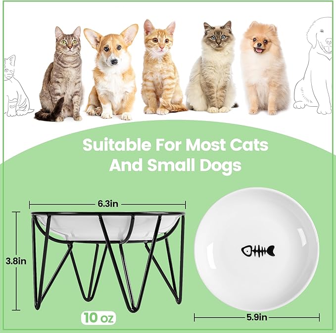 Ceramic Cat Bowls, 2 Pack - Raised, Whisker Friendly, Anti-Vomiting Cat Food Plates - Hygienic, Secure Material, Elegant Stand, 10 oz, for Indoor Cats & Kittens