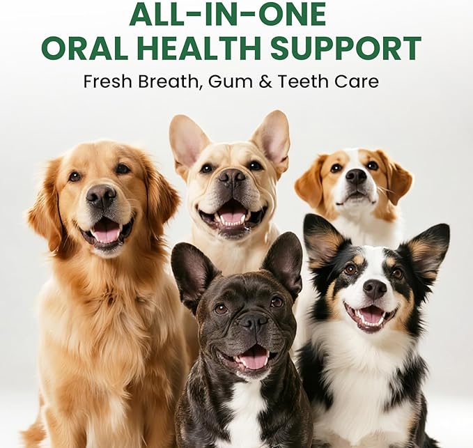 Dog Teeth Cleaning Powder, Dog Dental Powder and Cats Breath Freshener, Plaque Off Pet Tooth Cleaning lab co, Bad Breath & Tartar Remover, Dog Teeth Cleaning with Enzymes-Green Tea