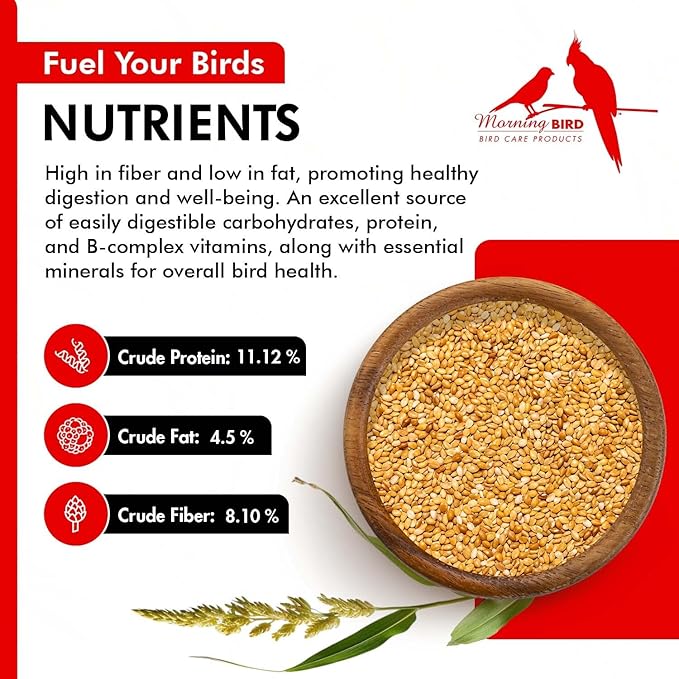 Morning Bird Golden German Millet 4.5 lbs (3-Pack, 1.5 lbs Each) – Natural Millet Seed for Birds – Natural Protein & Fiber Source – Easy-to-Digest Daily Nutrition for All Bird Types