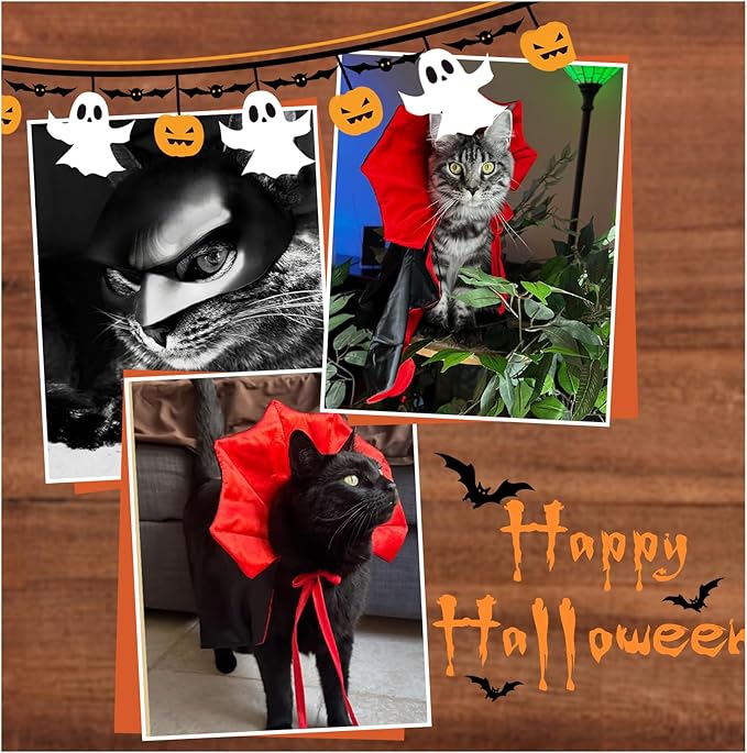 2PC Cat Halloween Costumes,Cat Bat Mask,Halloween Costumes for Dogs,Funny Cape Accessories for Cats,Bat Cosplay Apparel