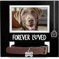 MYPAWLETS Dog/Cat Collar Memorial Frame with Paw Print Charm,Pet Loss Sympathy Gift,Pets Memorial Gift for Loss of Dog,Forever Loved Pet Keepsake Frame,Dogs Passing Away Gifts