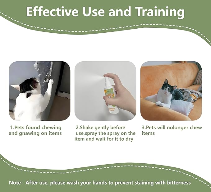 Cat Deterrent Spray 2 Pack- Natural Cat Spray Deterrent for Urine Marking & Scratching - Eco Friendly, Safe to Use Around Children, Pets, Furniture and Fabric, Works Indoor & Outdoor（2X100ml)2
