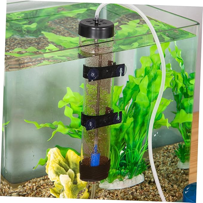 Aquarium Shrimp Egg Box Shrimp Egg Hatchery Tank for Easy to Install Use for Fish Breeding