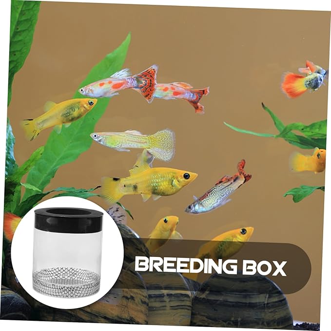 Fish Tank Hatching Box Floating Breeding Box Survival Rate Enhancer for Baby Fry Fish