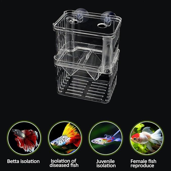 1/2 Fish Breeding Box - Aquarium Breeder Box, Fish Acclimation Box with 2 Suction Cups | Easily Install Fish Isolation Box, Acrylic Aquarium Hatchery Incubator for Baby Fishes Shrimp Betta Guppy