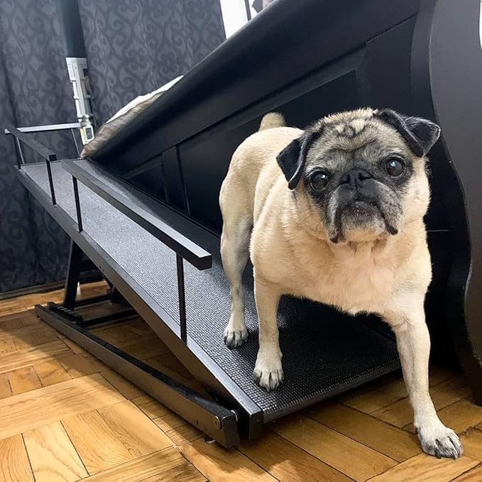 DoggoRamps Dog Ramp for Beds - Solid Hardwood with 5 Finish Options - Adjustable up to 37" High Beds with Low Incline, Safety Rails & Anti-Slip Grip, For Small Dogs up to 50lbs - Made in North America