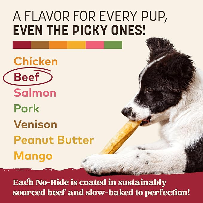 Earth Animal No Hide Chews - Long Lasting Rawhide Free Medium Dog Chews Rolls, Beef - 2 Count