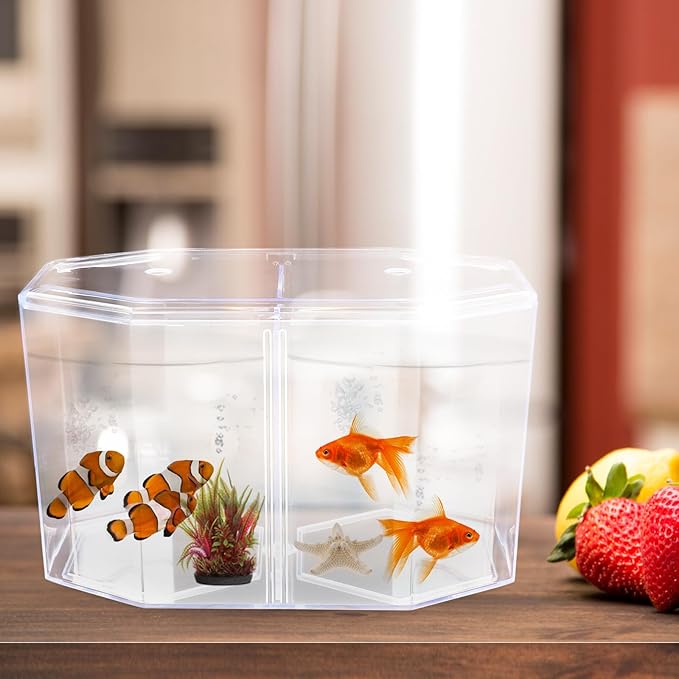 POPETPOP Mini Acrylic Fish Breeding Tank: Transparent Fish Breeding Box with Divider - Small Aquarium for Shrimp
