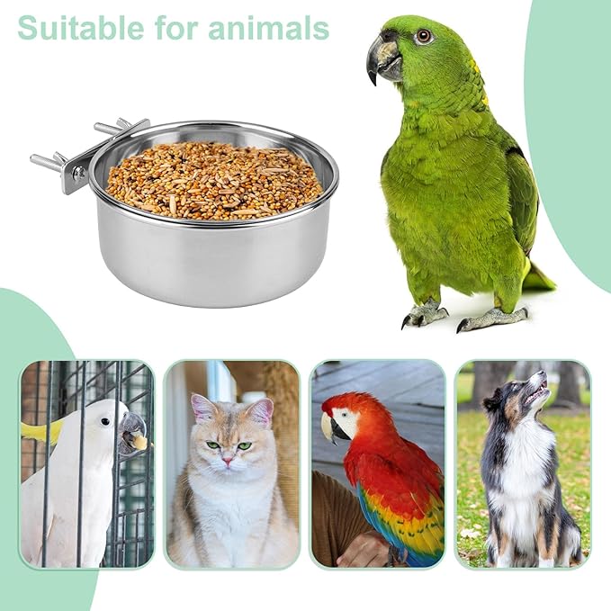 Hypeety Stainless Steel Bird Food Water Bowl Parrot Cage Accessories for Parakeet Bird Dog Cat Parrot Rabbit (Large,5.5 * 2.3in)