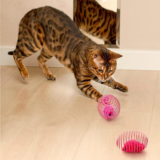 Jecery 25 Pcs Cat Spring Balls Toys Stretchable Rolling Balls Colorful Playful Coils Interactive Action Toy Caged Rats for Kitten Pet Supplies (Mouse and Bell,Colorful)